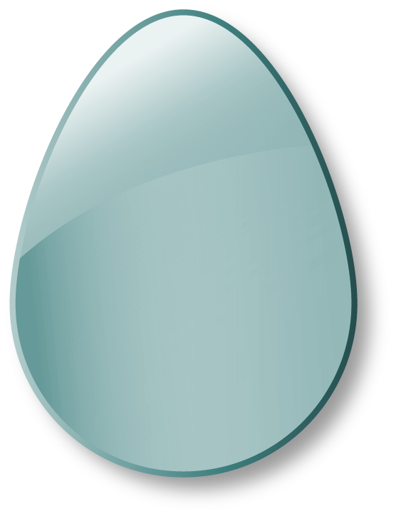 Egg Shell